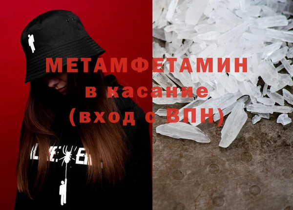 прущие грибы Семикаракорск
