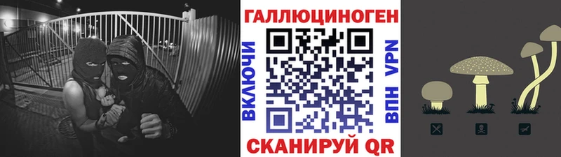 Галлюциногенные грибы MAGIC MUSHROOMS Глазов