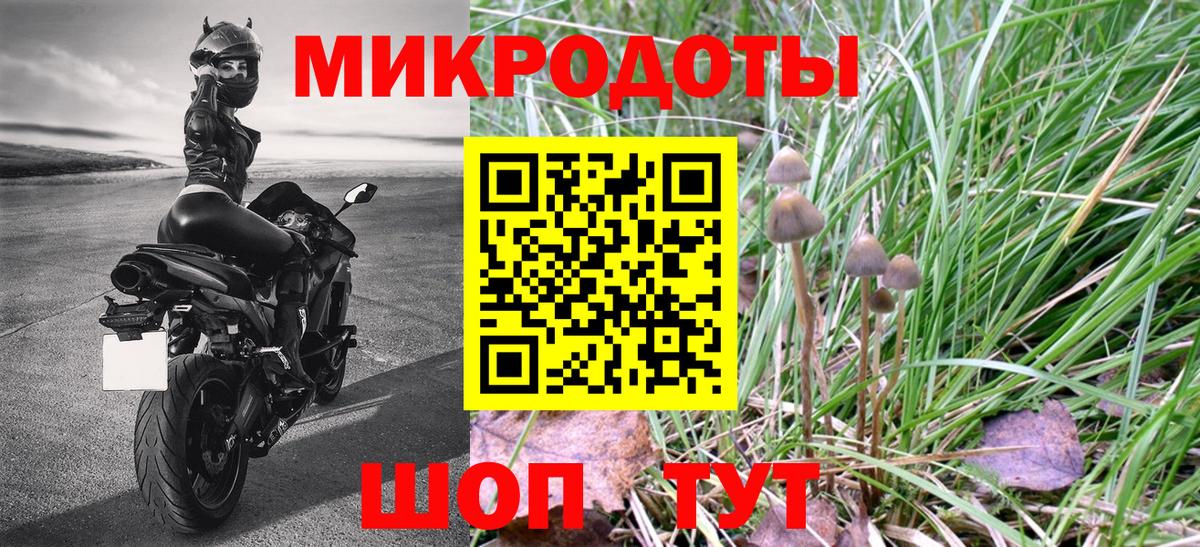 Галлюциногенные грибы Psilocybine cubensis  Глазов  Галлюциногенные грибы Psilocybe 