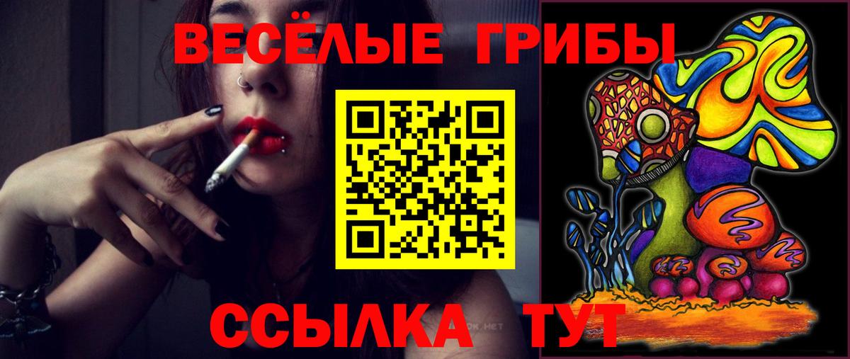 Лсд 25 Глазов