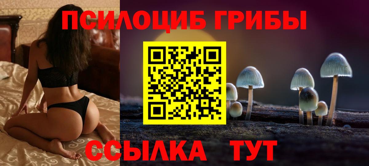 Галлюциногенные грибы мицелий Глазов